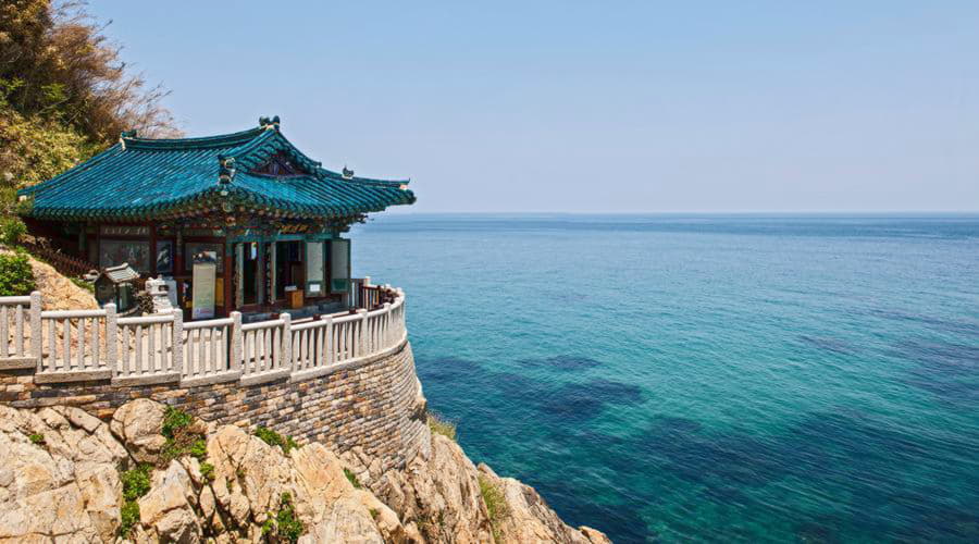 Jaké jsou nejoblíbenější volby vozidel v Yangyangu?